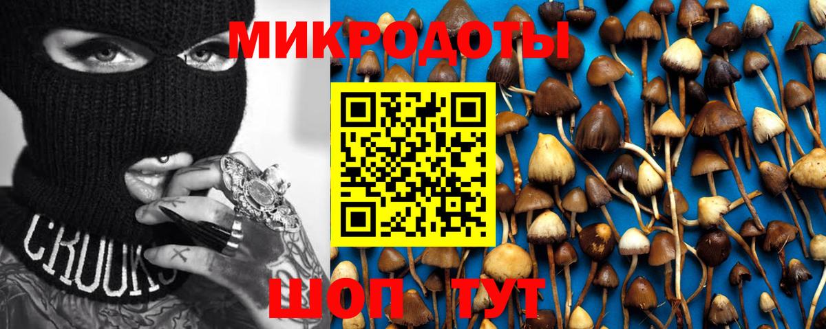 Великий Устюг  Псилоцибиновые грибы Psilocybine cubensis  Вход с VPN 