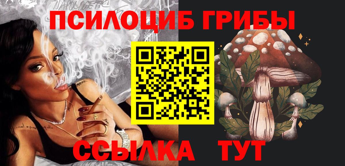 Галлюциногенные грибы Magic Shrooms Великий Устюг